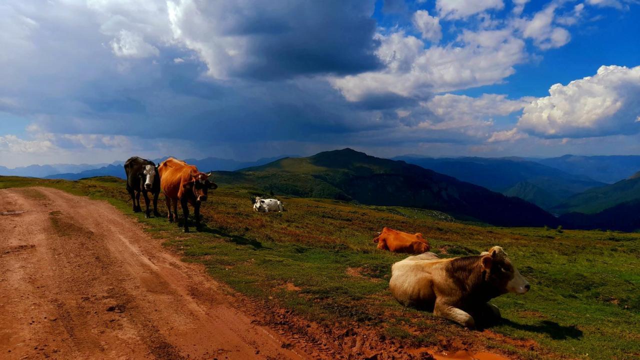 Etno Village Coric Mojkovac Buitenkant foto