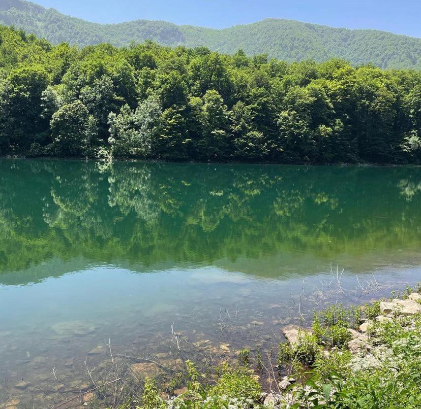 Eco Village Coric Mojkovac Buitenkant foto