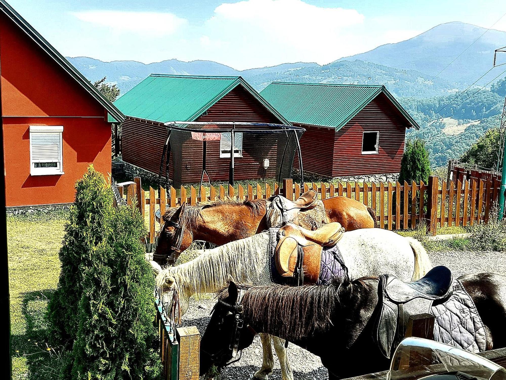 Etno Village Coric Mojkovac Buitenkant foto