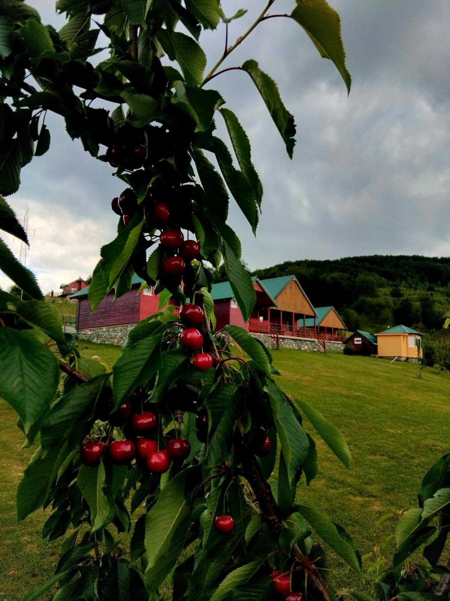 Etno Village Coric Mojkovac Buitenkant foto