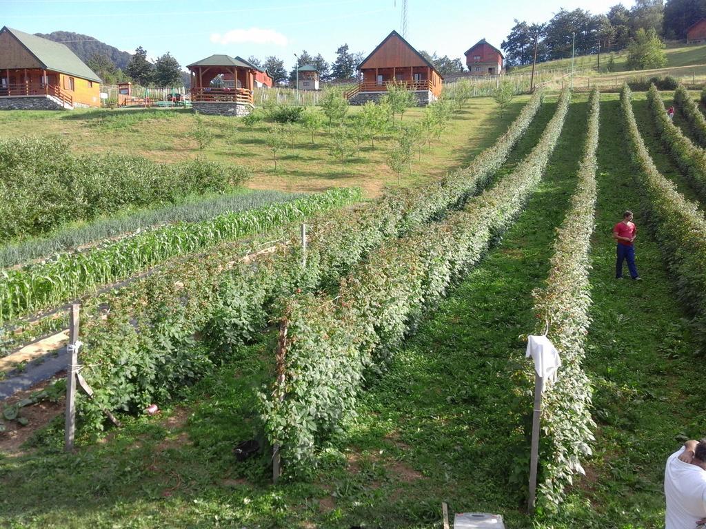 Eco Village Coric Mojkovac Buitenkant foto