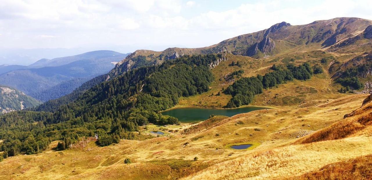 Etno Village Coric Mojkovac Buitenkant foto